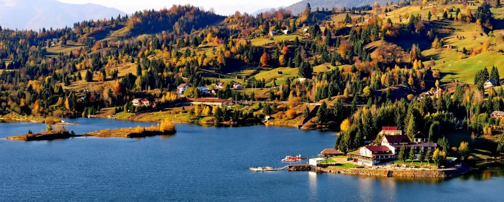 cropped colibita toamna