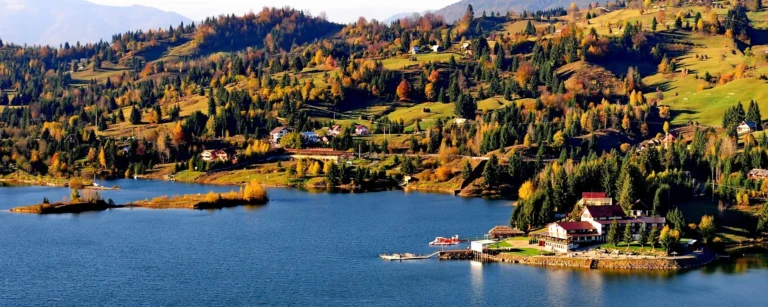 cropped colibita toamna